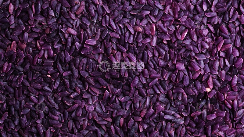高清大图下载【趣麦麦图】紫米背景2