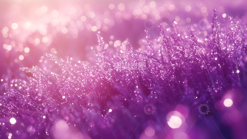 高清大图下载【趣麦麦图】紫色满天星背景