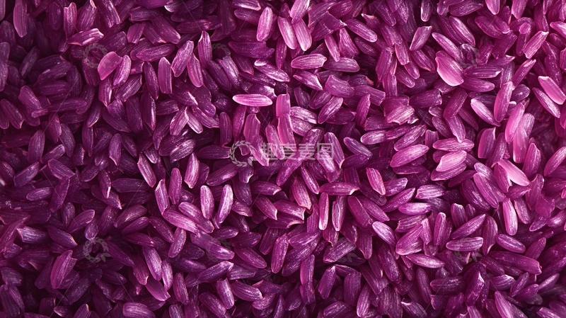 高清大图下载【趣麦麦图】紫米背景