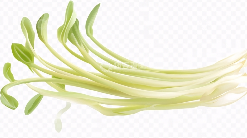 高清大图下载【趣麦麦图】手绘香葱插画1