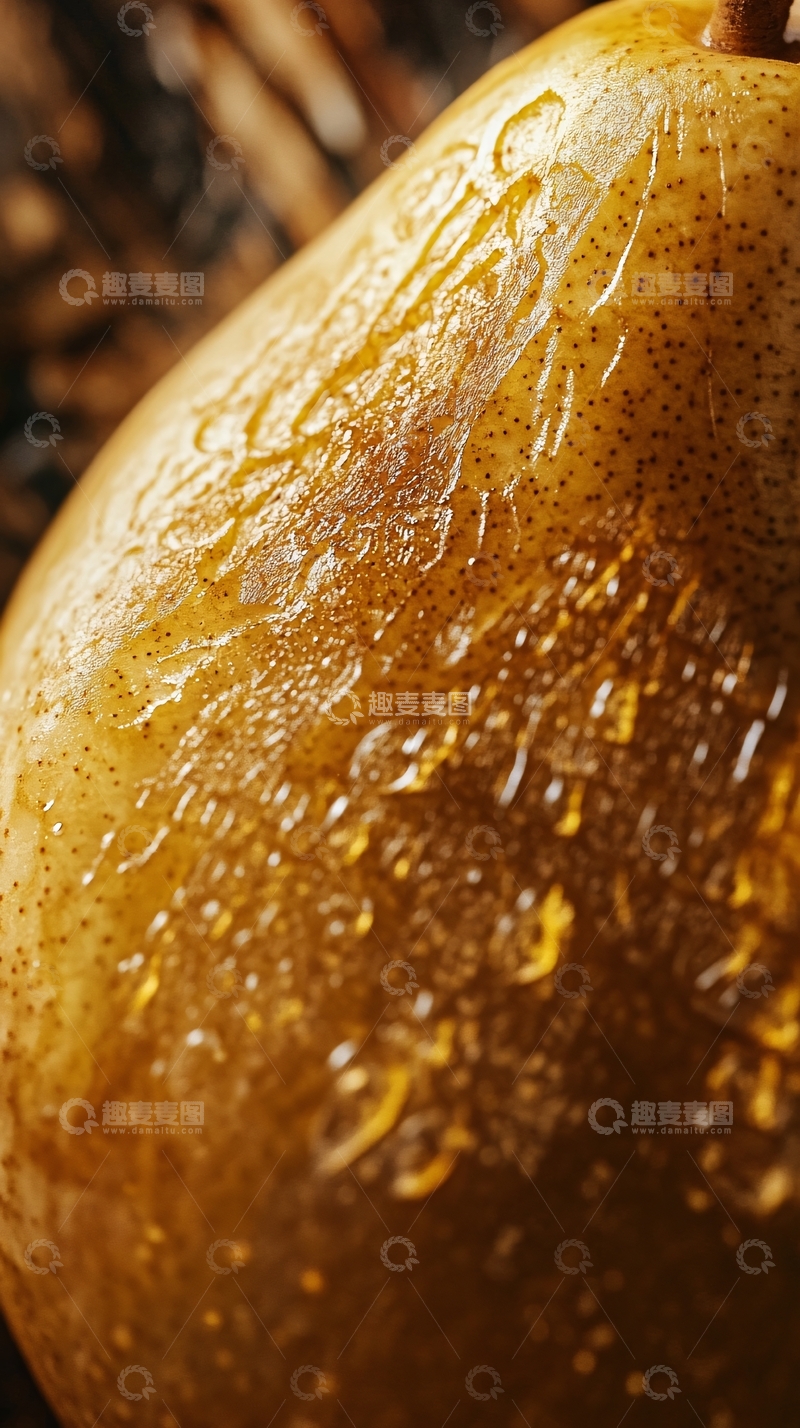 高清大图下载【趣麦麦图】烙画葫芦