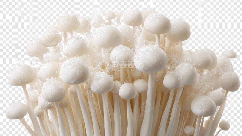 高清大图下载【趣麦麦图】金针菇插画1