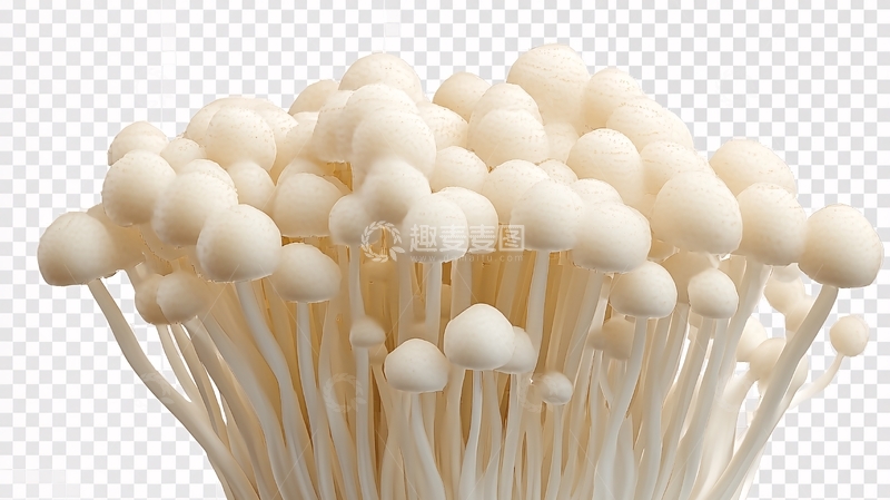 高清大图下载【趣麦麦图】金针菇插画