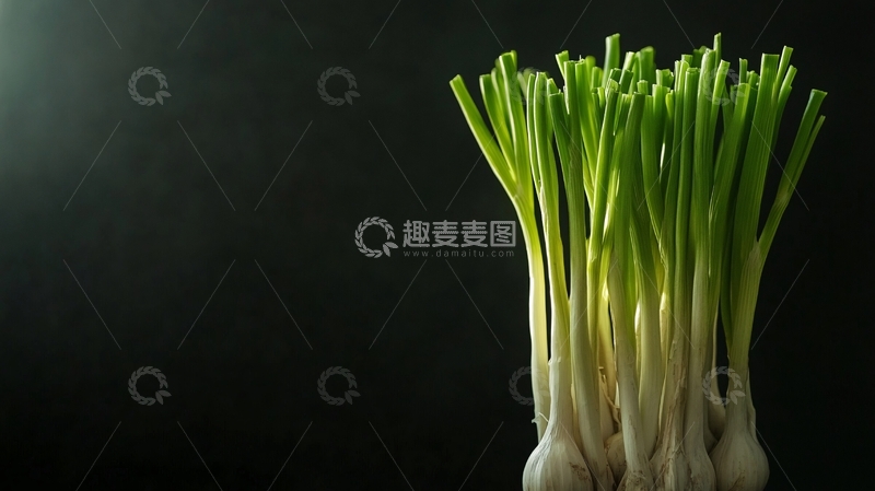 高清大图下载【趣麦麦图】蒜苗实拍1