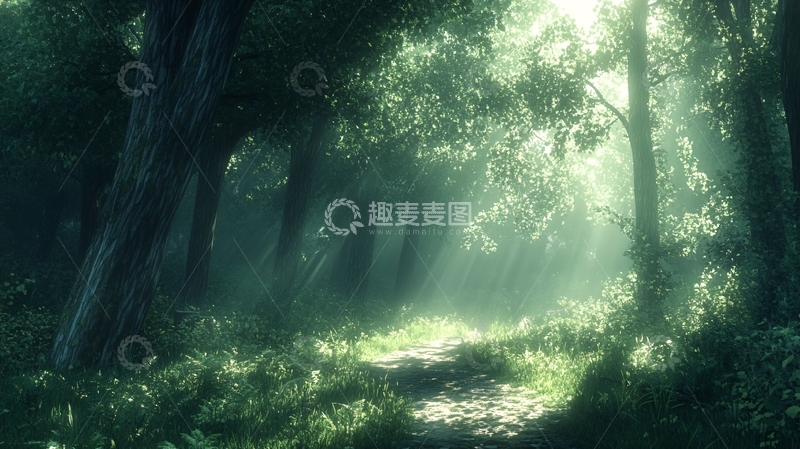 高清大图下载【趣麦麦图】梦幻森林小路22