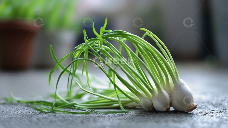 高清大图下载【趣麦麦图】-蒜苗实拍3