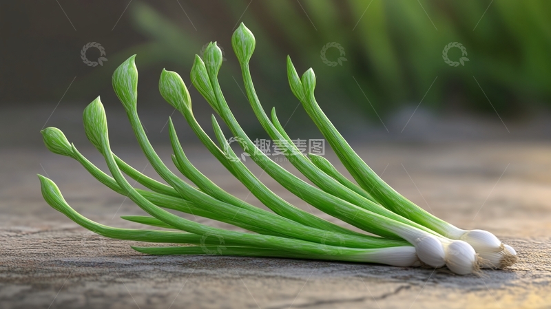 高清大图下载【趣麦麦图】-蒜苗实拍4