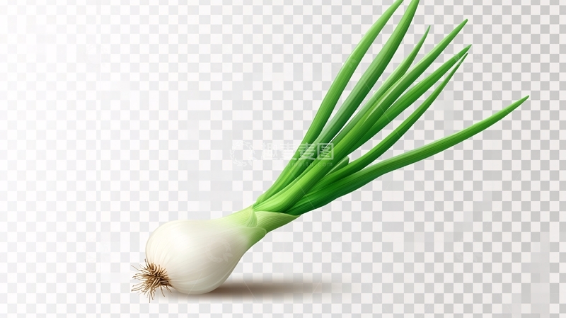 高清大图下载【趣麦麦图】大葱插画