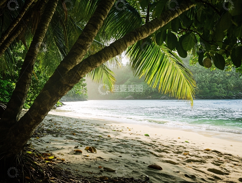 高清大图下载【趣麦麦图】埃拉福尼西海滩