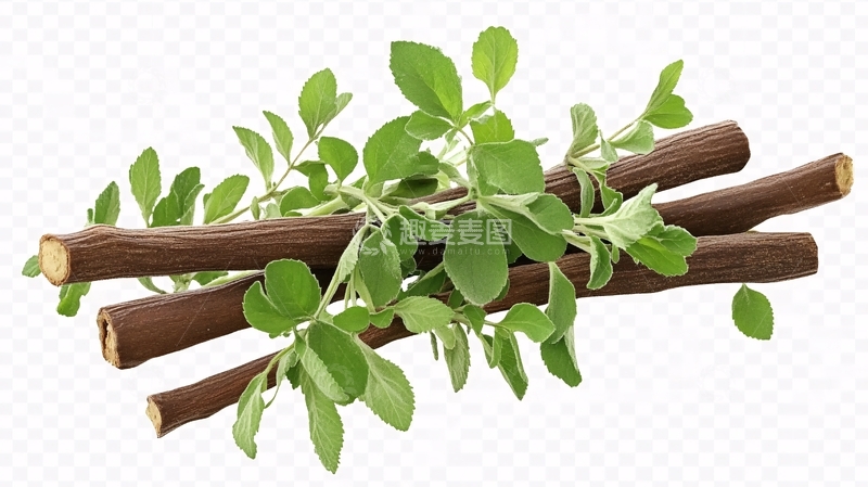 高清大图下载【趣麦麦图】免扣树枝1