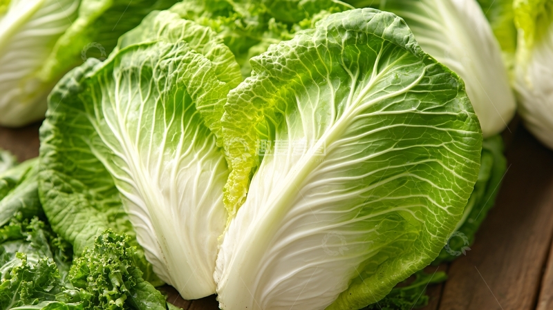 高清大图下载【趣麦麦图】高清唯美大白菜3