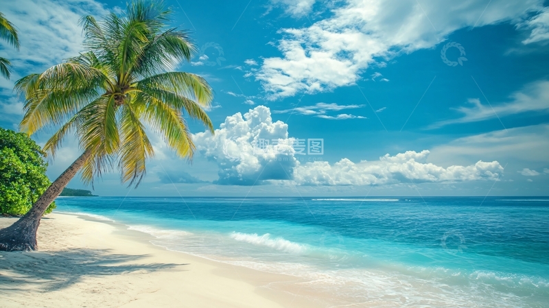 高清大图下载【趣麦麦图】海滩椰树风景
