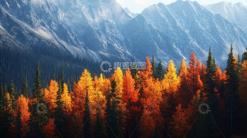高清大图下载【趣麦麦图】深秋白雪山峰森林黄叶