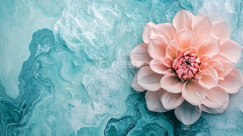 高清大图下载【趣麦麦图】立体花壁纸6