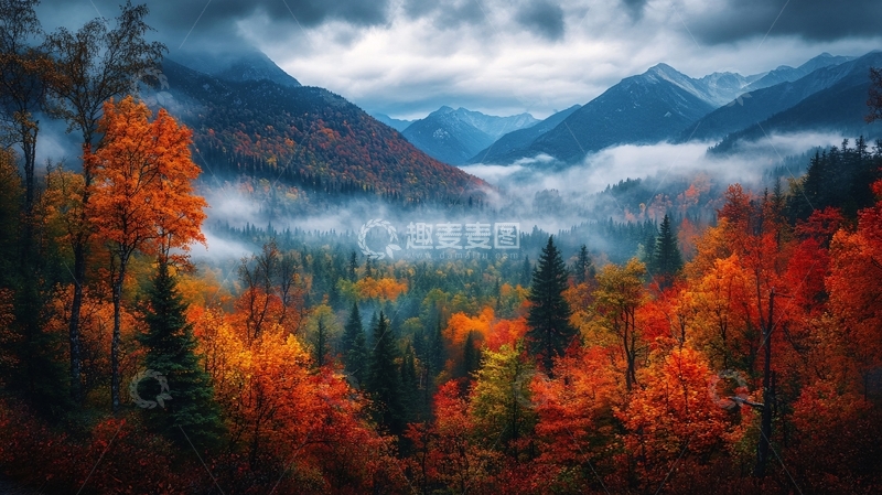 高清大图下载【趣麦麦图】森林云雾深山秋色