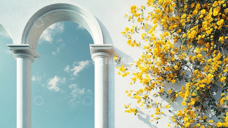 高清大图下载【趣麦麦图】仰望鲜花蓝天白云