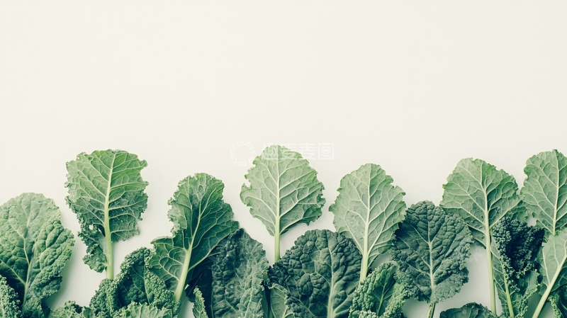 高清大图下载【趣麦麦图】白菜边框1