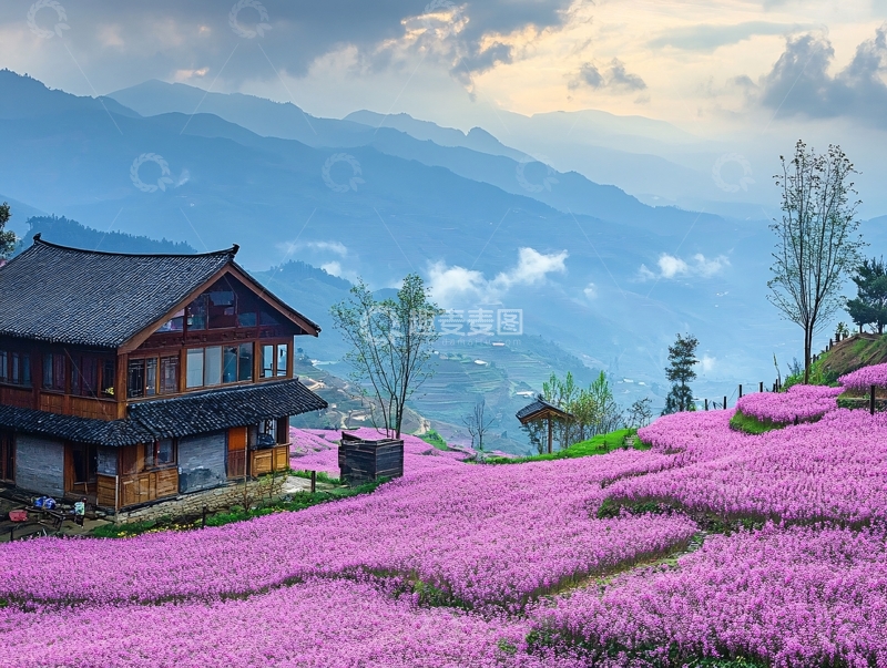 高清大图下载【趣麦麦图】芝樱小镇