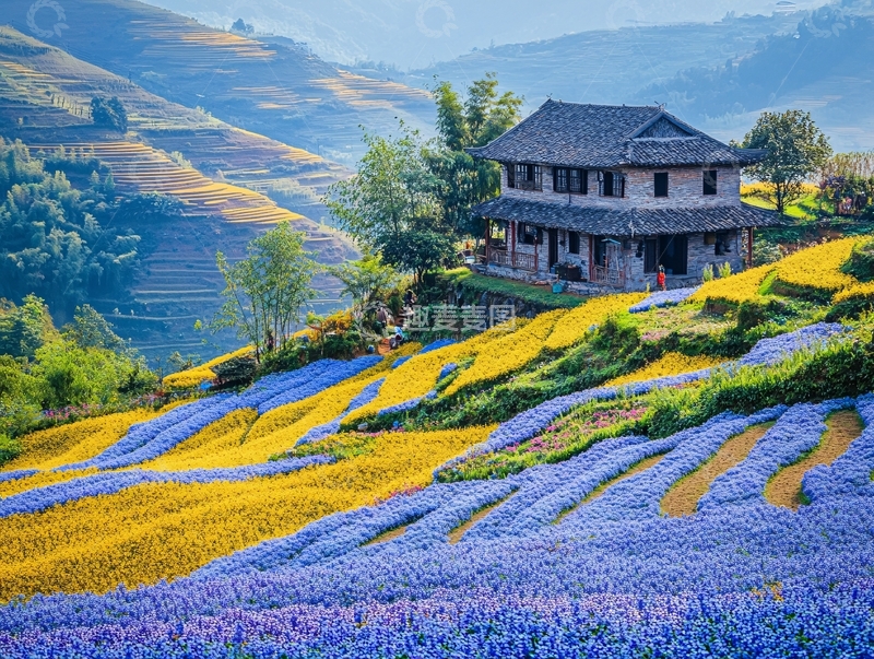 高清大图下载【趣麦麦图】蓝光梯田1
