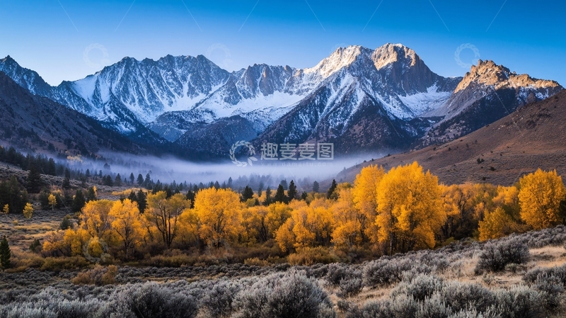 高清大图下载【趣麦麦图】金秋雪山松林晨雾