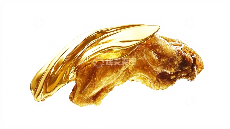 高清大图下载【趣麦麦图】黄金海螺