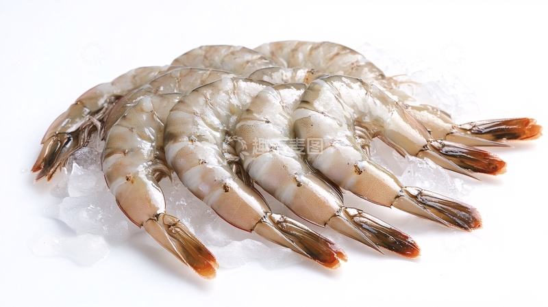 高清大图下载【趣麦麦图】虾高清白底图1