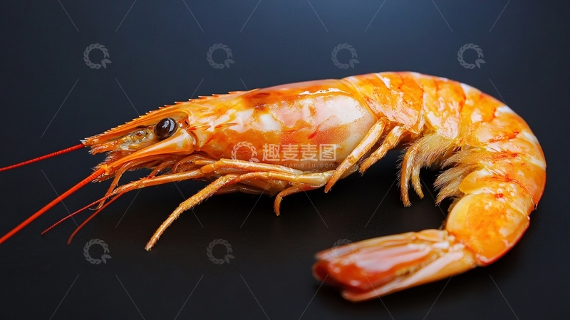 高清大图下载【趣麦麦图】活大虾黑底