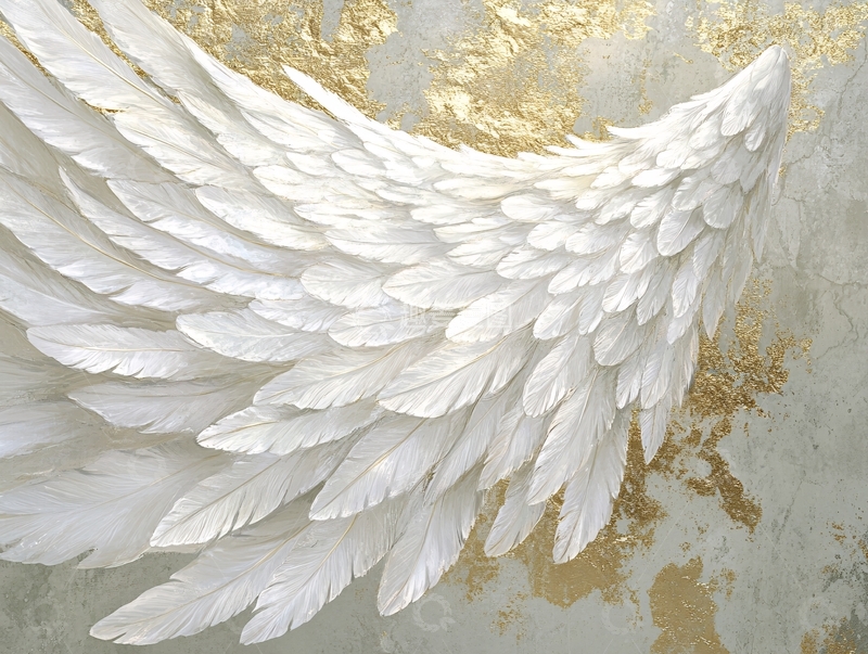 高清大图下载【趣麦麦图】黄金质感纯金色翅膀