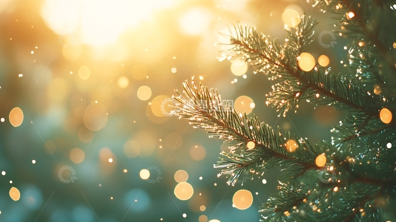 高清大图下载【趣麦麦图】唯美杉树