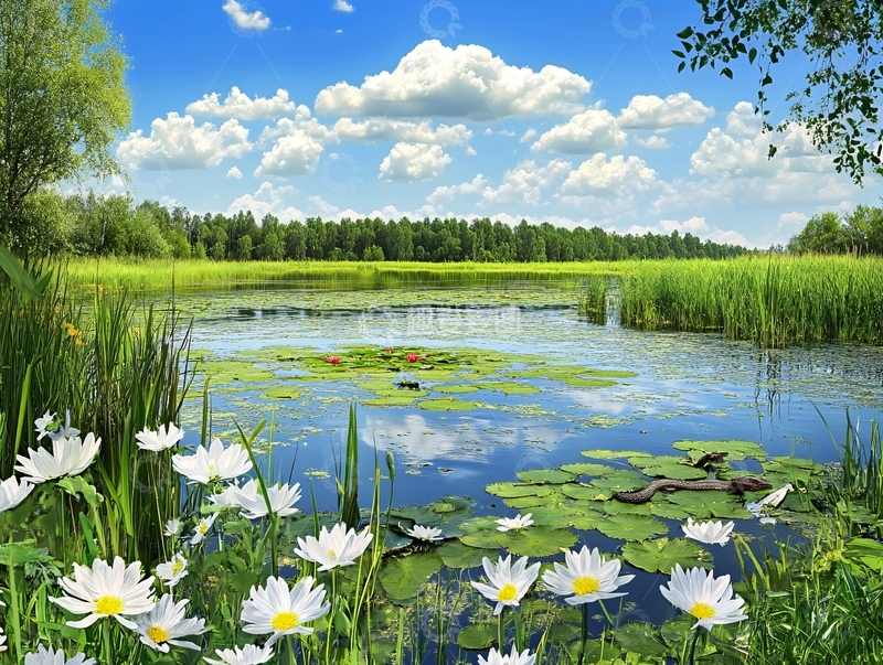 高清大图下载【趣麦麦图】高清池塘图片