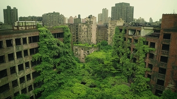 爬满绿色的住宅楼