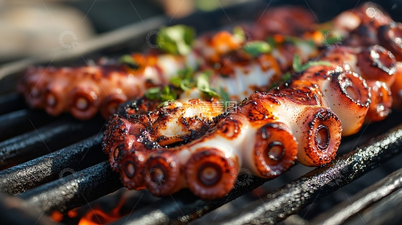 高清大图下载【趣麦麦图】碳烤章鱼3