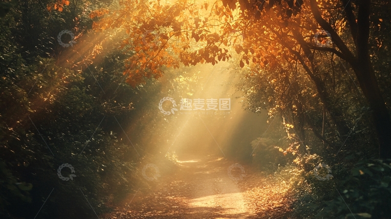 高清大图下载【趣麦麦图】朦胧秋光