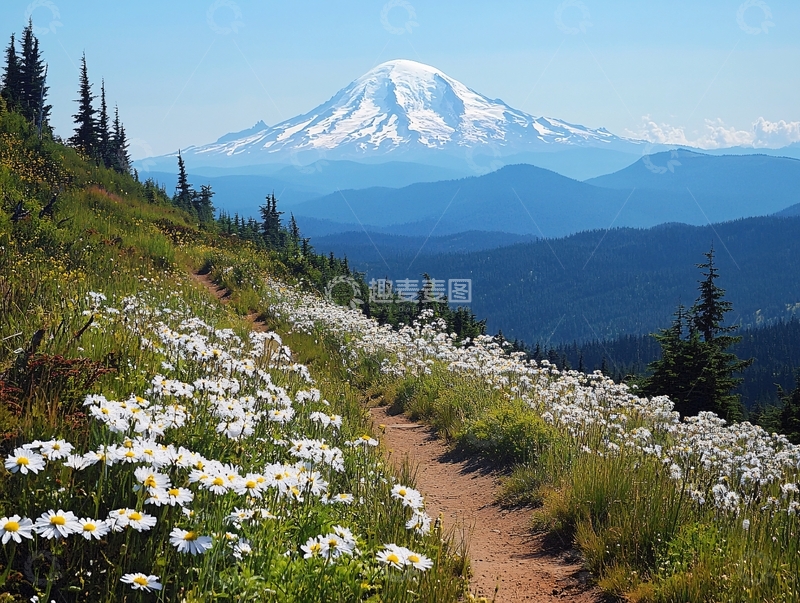 高清大图下载【趣麦麦图】唯美登山道1