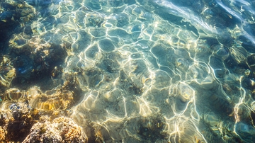 清澈见底的海水