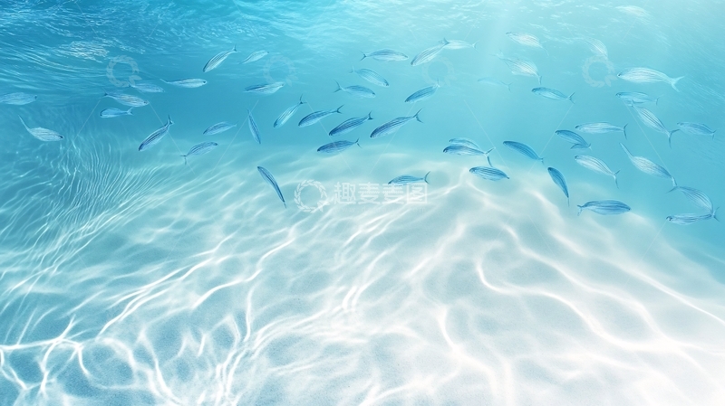 高清大图下载【趣麦麦图】鱼翔浅底背景2