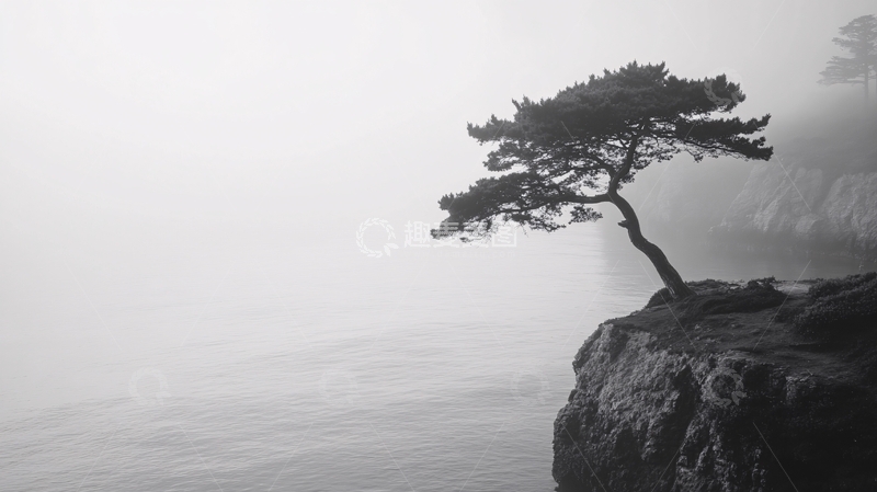 高清大图下载【趣麦麦图】雾里看松2