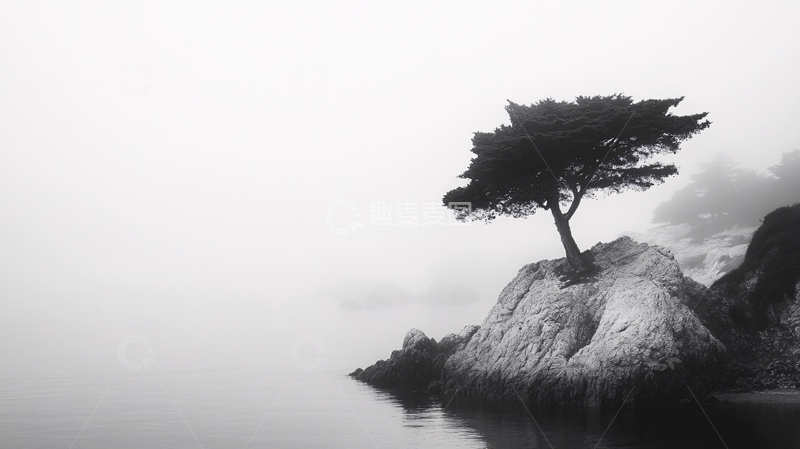 高清大图下载【趣麦麦图】雾里看松3