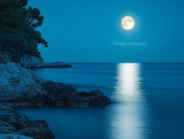 大海大地月光自然5