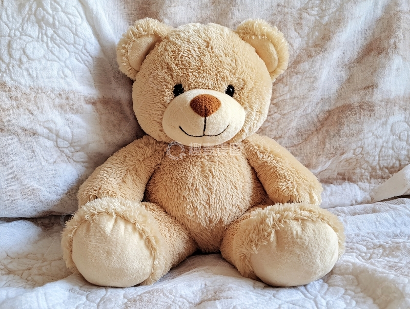 高清大图下载【趣麦麦图】小熊布偶