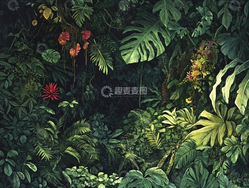 高清大图下载【趣麦麦图】热带雨林插画7