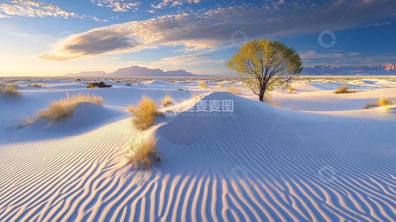 高清大图下载【趣麦麦图】晨光里的大漠