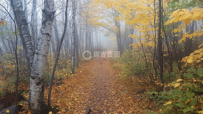 高清大图下载【趣麦麦图】雾色迷茫的秋天