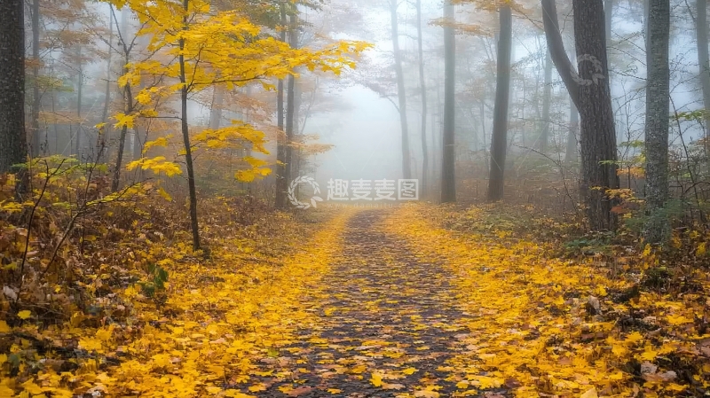 高清大图下载【趣麦麦图】唯美秋天小道1