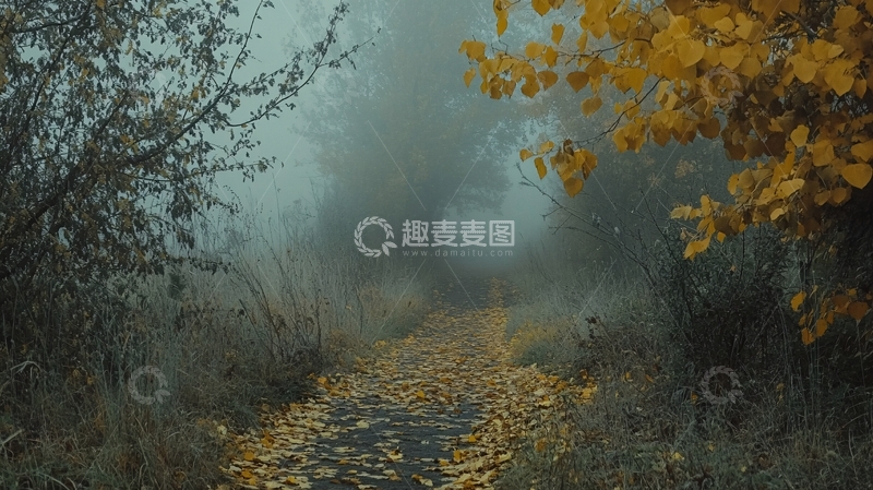 高清大图下载【趣麦麦图】唯美秋天小道