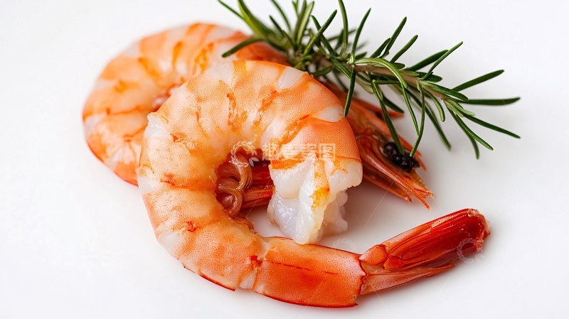 高清大图下载【趣麦麦图】虾高清白底图