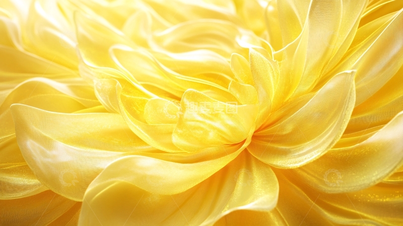 高清大图下载【趣麦麦图】唯美金色菊花