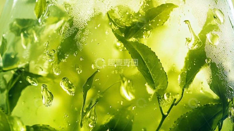 高清大图下载【趣麦麦图】绿色水珠壁纸1