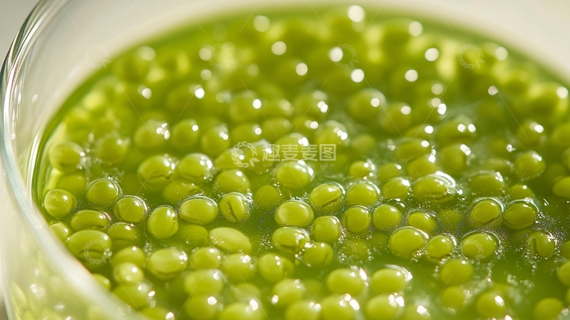 高清大图下载【趣麦麦图】超清绿豆