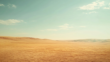 荒漠草原草原